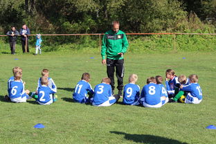 乐鱼官网-中国篮球教练员团队协作能力培养与管理实践，篮球教练员在团队中扮演了哪些角色