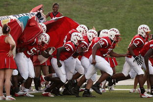 乐鱼体育网址-青少年体育参与行为及其影响机制探讨，青少年体育参与行为及其影响机制探讨论文